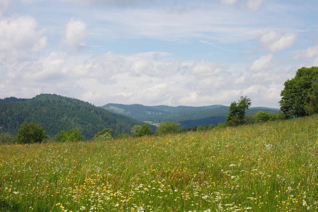 Parkhotel Waldlust Хаузерн Экстерьер фото