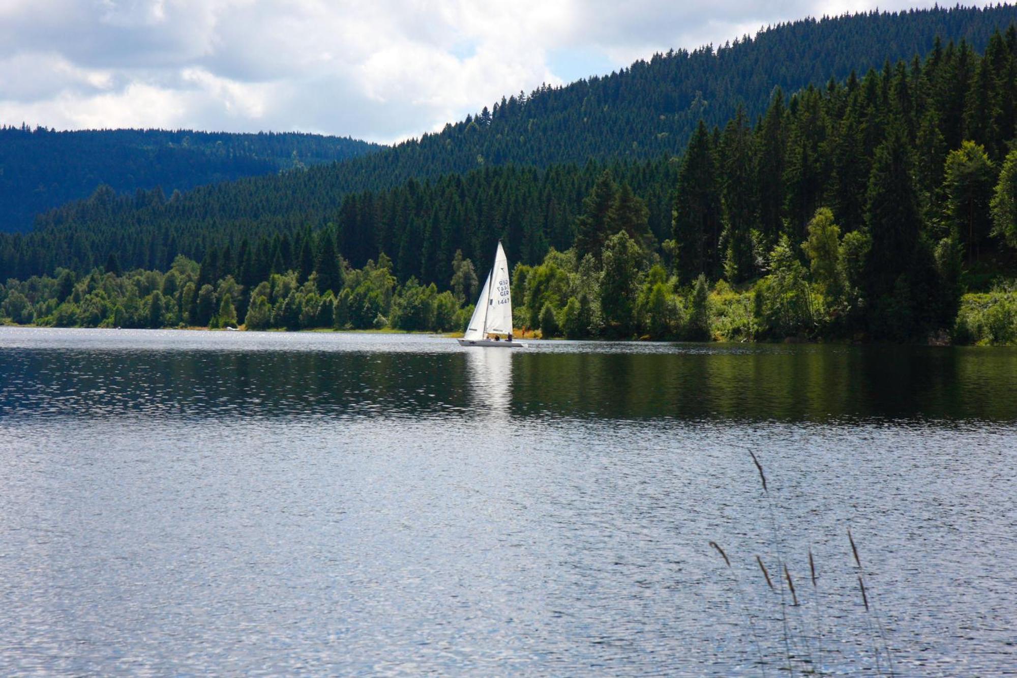 Parkhotel Waldlust Хаузерн Экстерьер фото